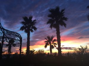 img_8536