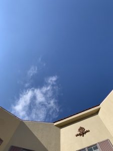 s__40304646