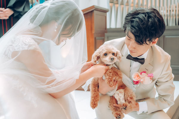 ペットも一緒の結婚式「ペット婚」では愛犬がリングドックを