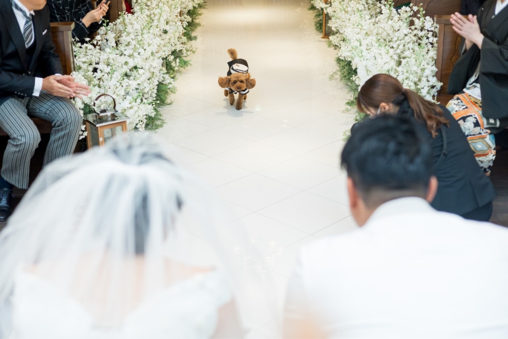 わんちゃん婚 ♡♡