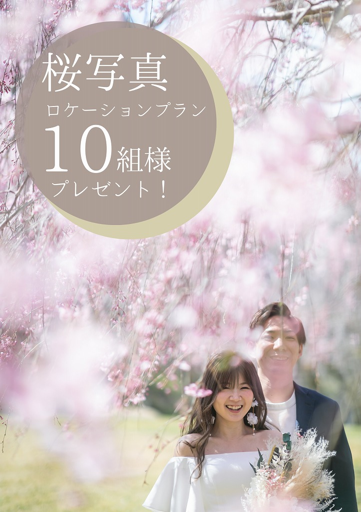 桜ロケーションフォト
