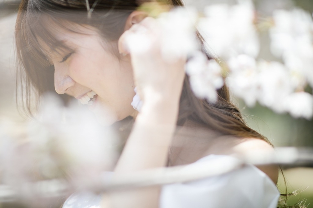 桜写真