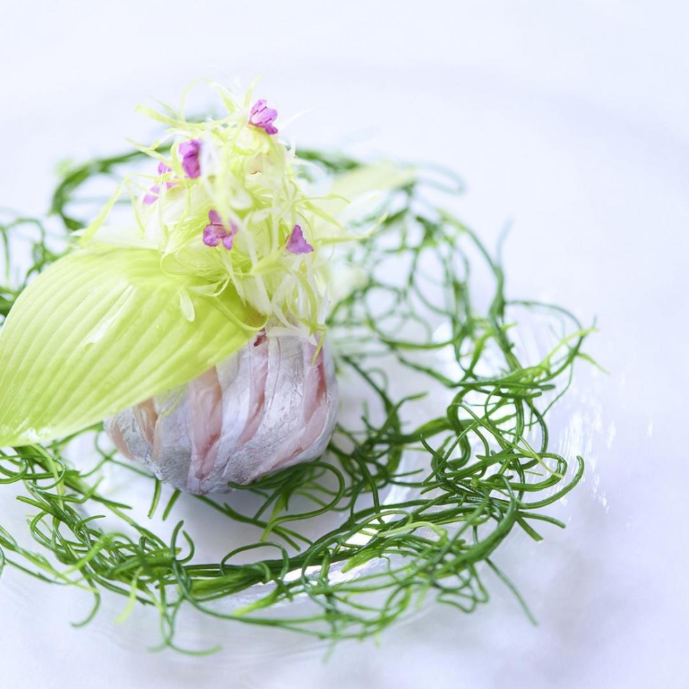 【料理フェス1位受賞】豪華4万円試食×10大特典×カタログ1万円
