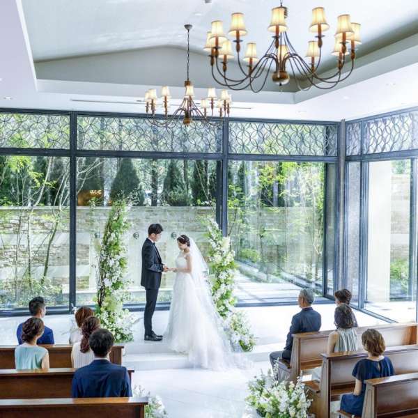 【通常価格:302万円 ➡ HP価格:224万円】