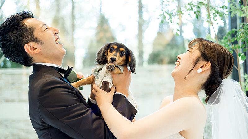 ペット婚
